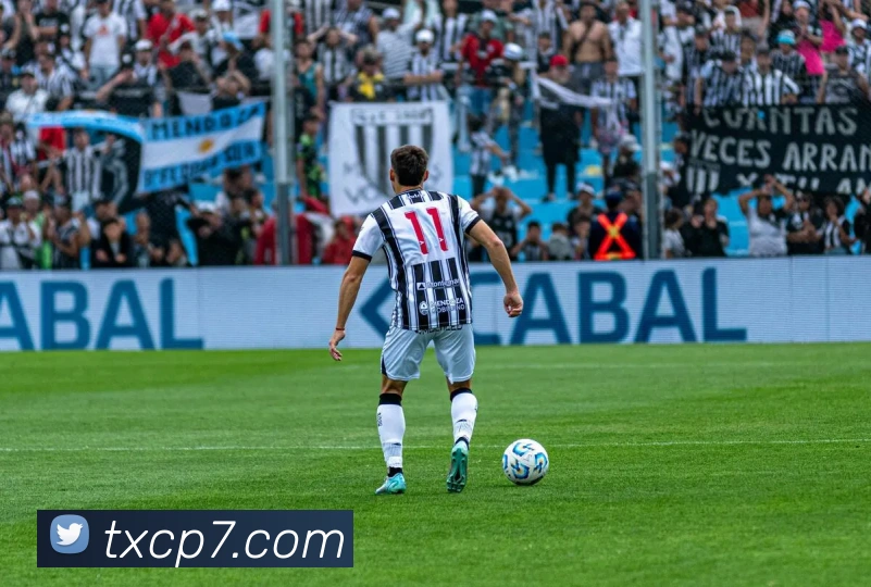 网上购彩票平台生态图